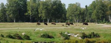 Hotel berdekatan dengan Zoo Sauvage de Saint Felicien