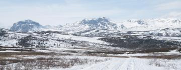 Hôtels près de : Golsfjellet