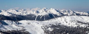 Hôtels près de : Station de ski de Hauser Kaibling