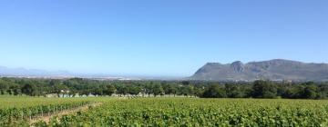 Hoteller i nærheden af Groot Constantia