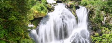 Khách sạn gần Thác Triberg Waterfalls