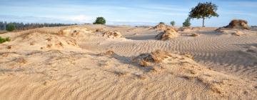 Hotelek a Drents-Friese Wold Nemzeti Park közelében