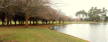 Hótel nærri kennileitinu Hagley Park