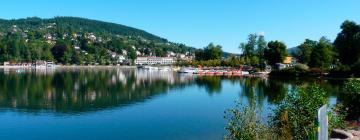 Lac de Gérardmer: hotel