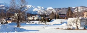 Hotel dekat Hakuba Goryu Ski Resort