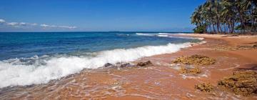 Hôtels près de : Plage de Barra Grande