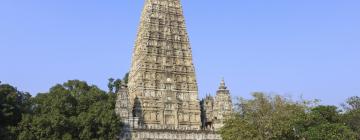 Mahabodhi Temple yakınındaki oteller