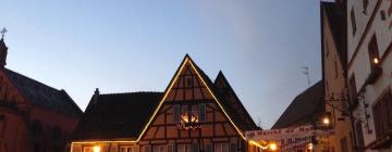 فنادق بالقرب من Eguisheim Christmas Market