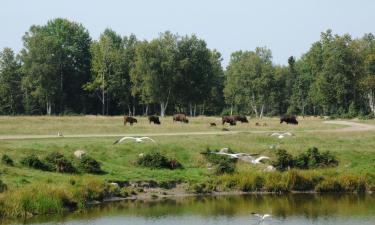 Viesnīcas netālu no apskates objekta zooloģiskais dārzs Sauvage de Saint Felicien - Centre de Conservation de la Biodiversit