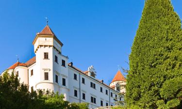 Hotell nära Konopiště slott