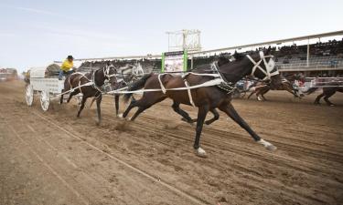 Hotel berdekatan dengan Calgary Stampede