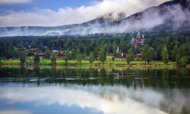 โรงแรมใกล้สวนสนุก Hunderfossen Family Park