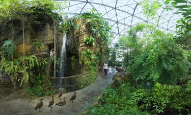 Hôtels près de : Forêt tropicale de Randers