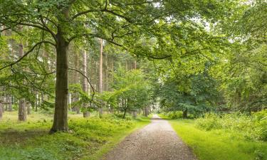 Hotell nära Sherwood Forest