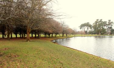 Hoteller i nærheden af Hagley Park