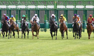 Hoteli v bližini znamenitosti dirkališče Flemington Racecourse