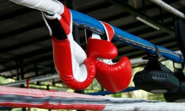 Hotel dekat Tiger Muay Thai and MMA Training Camp