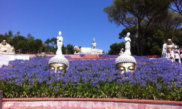 Hoteles cerca de Jardines Buddha Eden