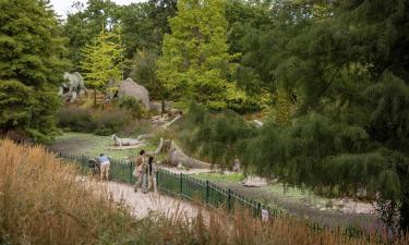 Hotels in de buurt van Crystal Palace Park