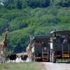 Viesnīcas netālu no apskates objekta savvaļas dzīvnieku parks Port Lympne