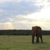 Ξενοδοχεία κοντά σε Addo Elephant National Park