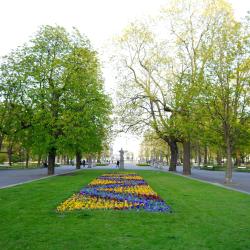 Saxon Garden