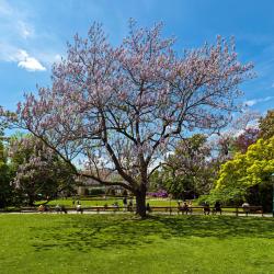 Stadtpark