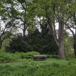 StadtPark Hamburg