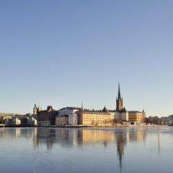 Riddarholmen Church