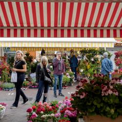 Cours Saleya Flower Market