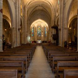 The Church of Saint Peter of Montmartre