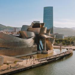 a Guggenheim Múzeum, Bilbao