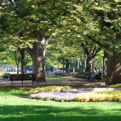 Odori Park