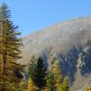 Hoteluri Ibis în Alpes-Maritimes