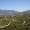 Hoteller i Colchagua Valley Wine Route