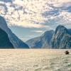 Mökit alueella Fiordland National Park