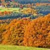 Котеджі в регіоні Ardennes Belge