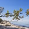 Nastanitev ob plaži v regiji Fischland-Darß-Zingst