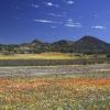 Chalets de montaña en Provincia Septentrional del Cabo