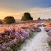 Hoge Veluwe National Park üdülőházai