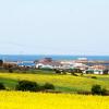 Hoteles en Isla de Jeju