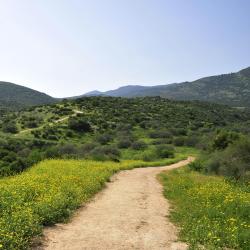 Upper Galilee 109軒のビーチ周辺のバケーションレンタル