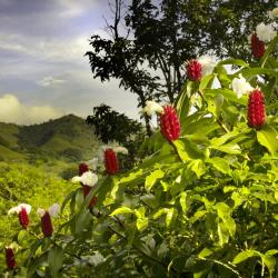 Heredia 37 Rentas vacacionales