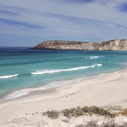 Île Kangourou 3 campings de luxe