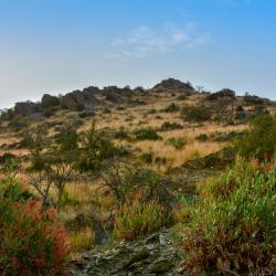 Al Baha Province 5 villaer