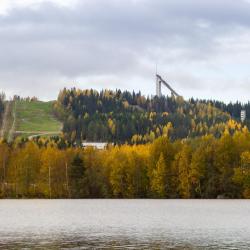 Laajavuori 55 smeštaja za odmor