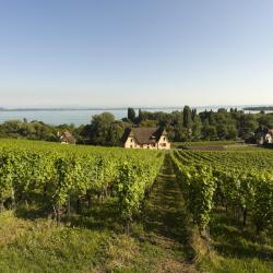 Lago de Neuchâtel 4 chalets de montaña