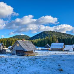 Pokljuka 20 rumah kotej