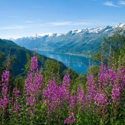 Hardanger 10 chalets de montaña