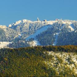 Poiana Brasov 24 гостьових будинків